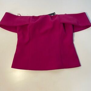 NWOT Women's Express Top